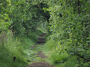 BUITEN BEELD Foto: 356807
