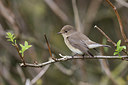 BUITEN BEELD Foto: 356852