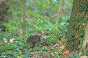 BUITEN BEELD Foto: 356867