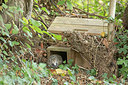 BUITEN BEELD Foto: 356870
