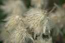 BUITEN BEELD Foto: 356879