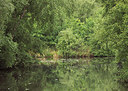 BUITEN BEELD Foto: 356896