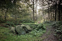 BUITEN BEELD Foto: 356940