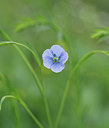 BUITEN BEELD Foto: 356981