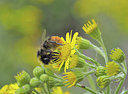 BUITEN BEELD Foto: 357005