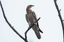 BUITEN BEELD Foto: 357082