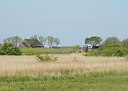 BUITEN BEELD Foto: 357093