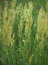 BUITEN BEELD Foto: 357106