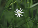 BUITEN BEELD Foto: 357108