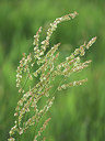 BUITEN BEELD Foto: 357110