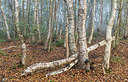 BUITEN BEELD Foto: 357132
