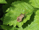 BUITEN BEELD Foto: 357225