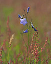 BUITEN BEELD Foto: 357248