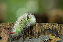 BUITEN BEELD Foto: 357297