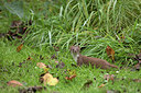 BUITEN BEELD Foto: 357376