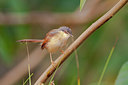 BUITEN BEELD Foto: 357407