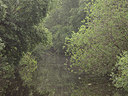 BUITEN BEELD Foto: 357461