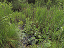 BUITEN BEELD Foto: 357464
