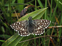BUITEN BEELD Foto: 357531