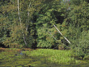 BUITEN BEELD Foto: 357552