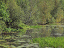BUITEN BEELD Foto: 357553