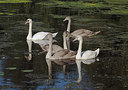 BUITEN BEELD Foto: 357606