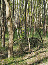 BUITEN BEELD Foto: 357631