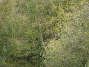 BUITEN BEELD Foto: 357713