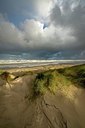 BUITEN BEELD Foto: 357756