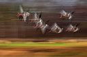 BUITEN BEELD Foto: 357839