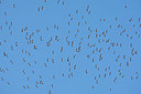 BUITEN BEELD Foto: 357840