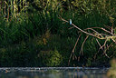 BUITEN BEELD Foto: 357851