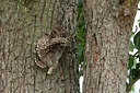BUITEN BEELD Foto: 357869