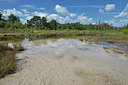 BUITEN BEELD Foto: 357884