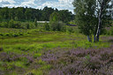 BUITEN BEELD Foto: 357886