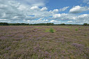BUITEN BEELD Foto: 357902