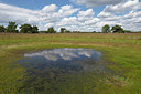 BUITEN BEELD Foto: 357954