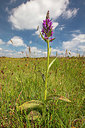 BUITEN BEELD Foto: 358038