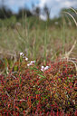 BUITEN BEELD Foto: 358057