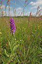 BUITEN BEELD Foto: 358063