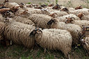 BUITEN BEELD Foto: 358098