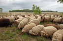 BUITEN BEELD Foto: 358106