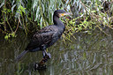 BUITEN BEELD Foto: 358137