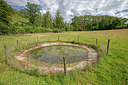 BUITEN BEELD Foto: 358149