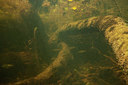 BUITEN BEELD Foto: 358162