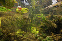 BUITEN BEELD Foto: 358164