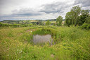 BUITEN BEELD Foto: 358170