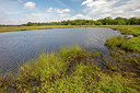 BUITEN BEELD Foto: 358172