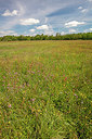 BUITEN BEELD Foto: 358173