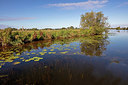 BUITEN BEELD Foto: 358177